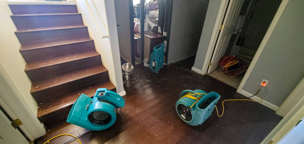 Water damage restoration insurance claims in MI