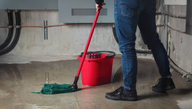 Best Water damage restoration near me  in Wixom, MI