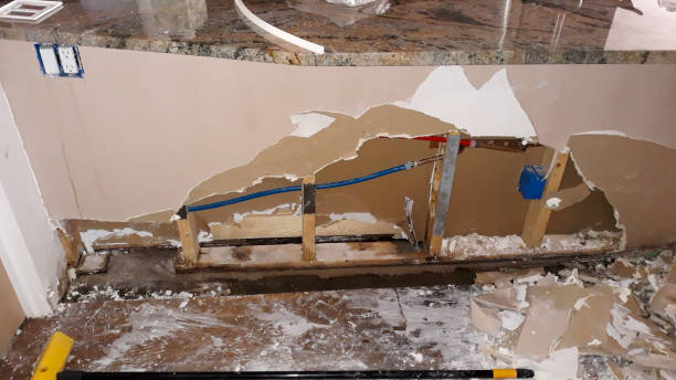 Best Ceiling water damage repair  in Wixom, MI
