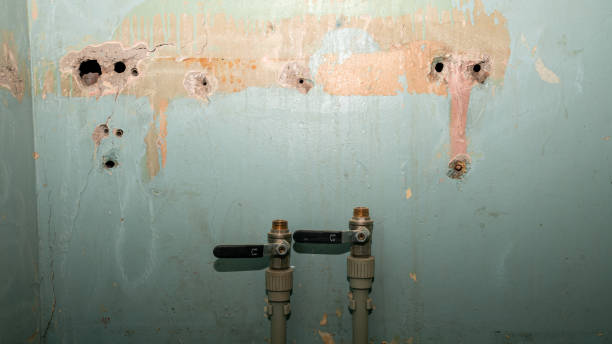Best 24-hour water damage restoration  in Wixom, MI
