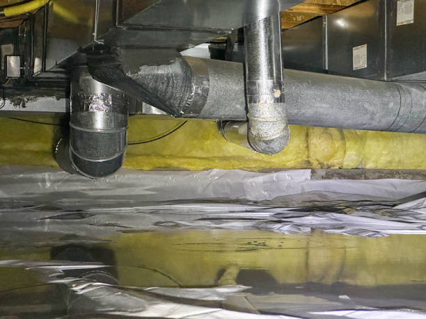 Best Carpet water damage restoration  in Wixom, MI
