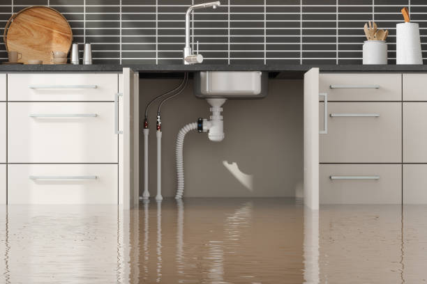 Best Sewage cleanup and water damage restoration  in Wixom, MI