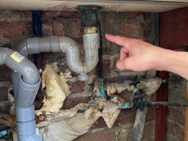 Best Flood restoration services  in Wixom, MI